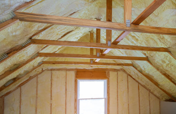 Best Cellulose Insulation in Long Branch, VA