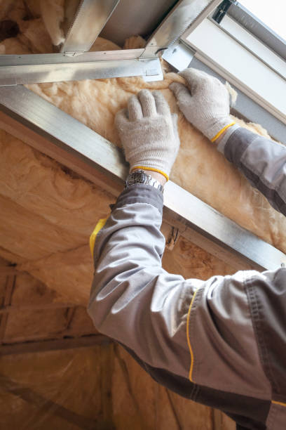 Best Insulation Maintenance and Repair in Long Branch, VA