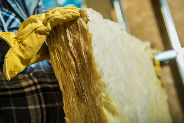 Types of Insulation We Offer in Long Branch, VA