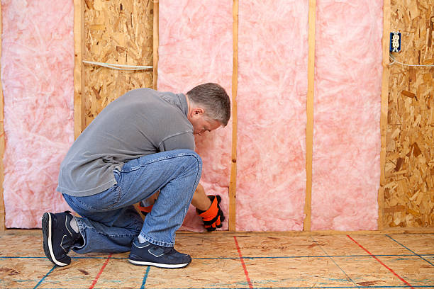 Best Energy Efficiency Insulation in Long Branch, VA