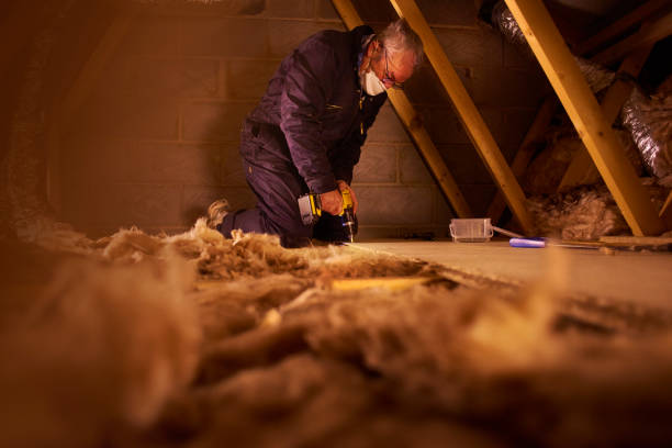 Best Eco-Friendly Insulation in Long Branch, VA