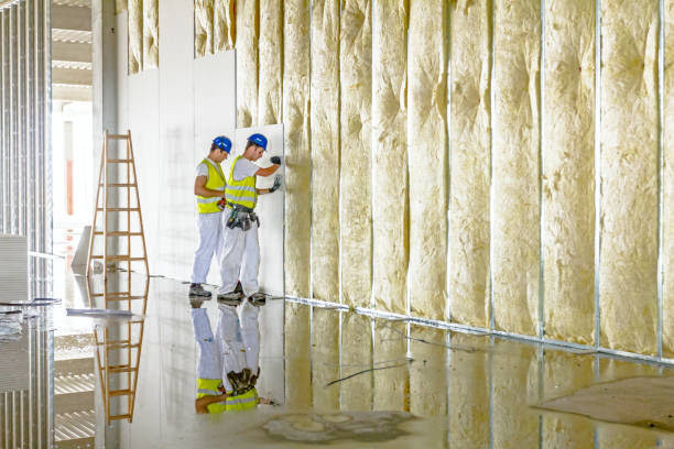 Best Residential Insulation in Long Branch, VA